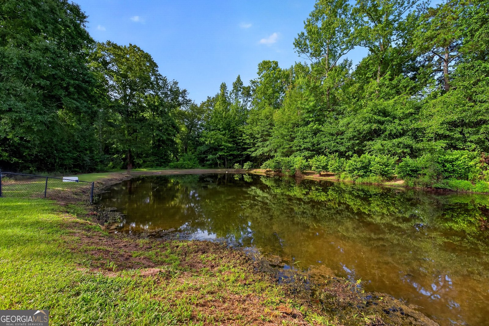 1723 Drew Allen Road Williamson - Photo 11