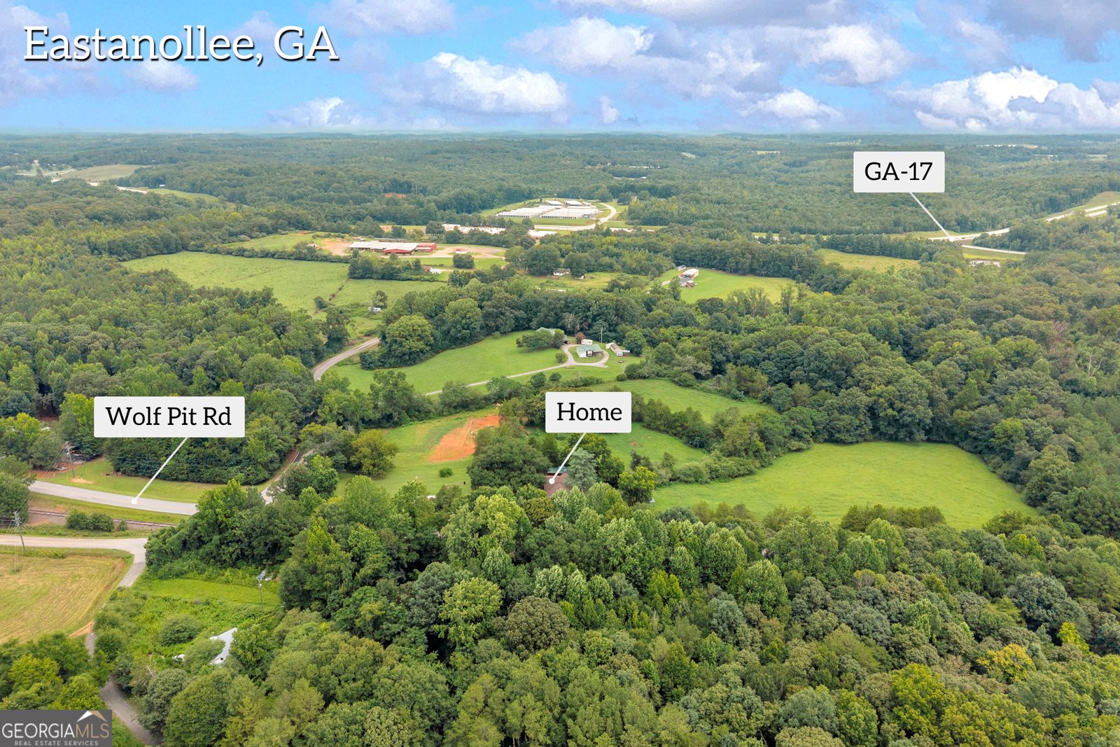 2657 Wolf Pit Eastanollee - Photo 49