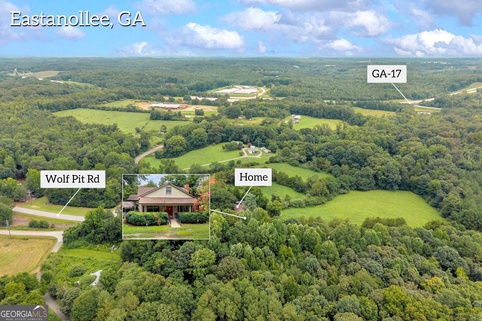 2657 Wolf Pit Eastanollee - Photo 50