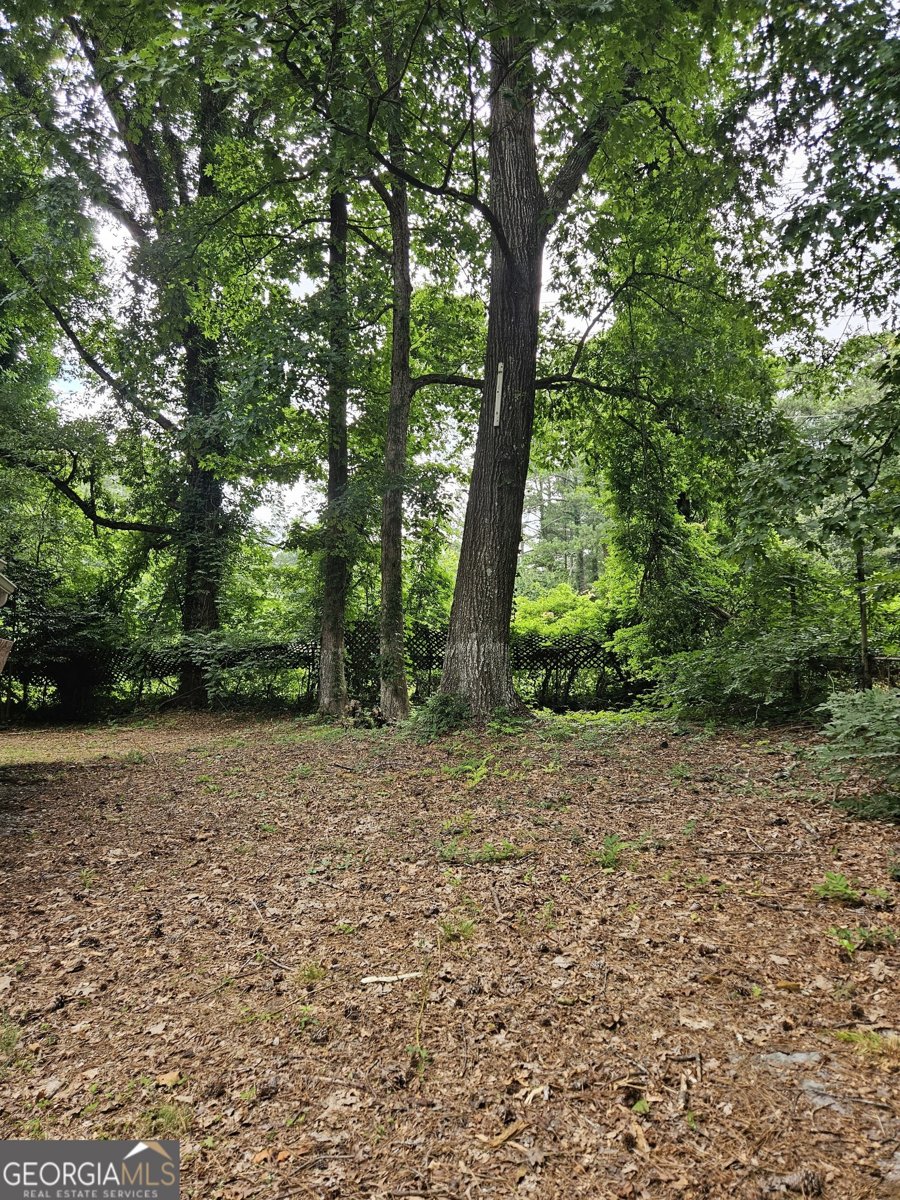 3069 McKenzie Road East Point - Photo 13