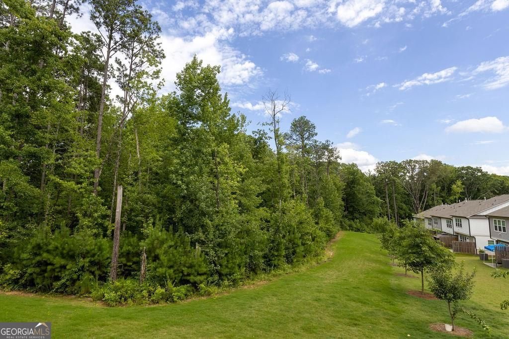 532 Sausalito Walk Suwanee - Photo 20