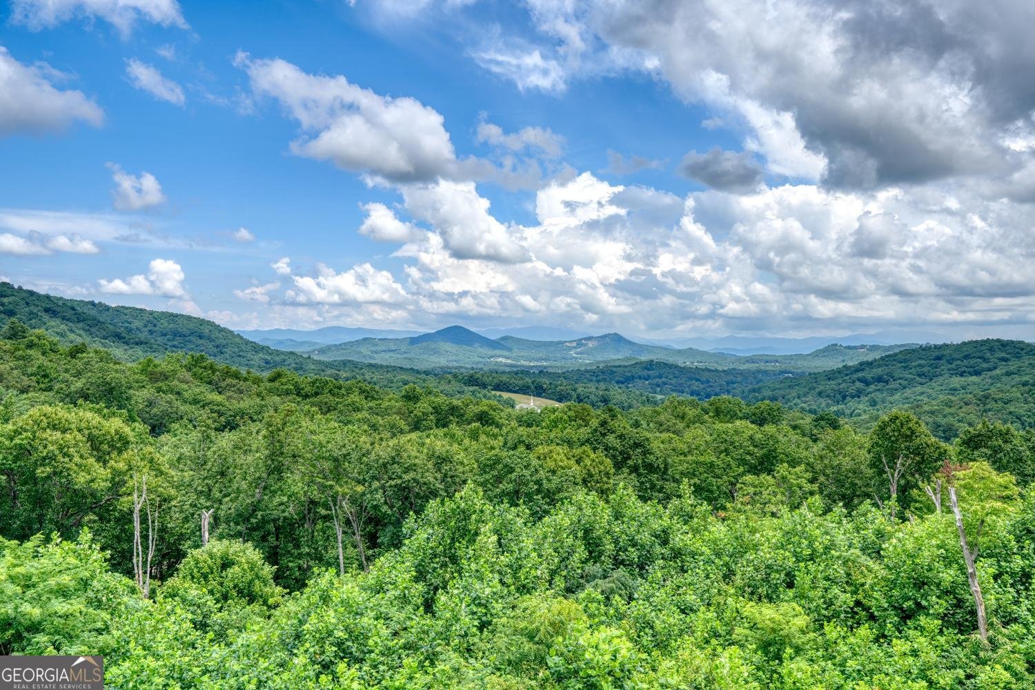 25 Ivy Log Heights SPUR Young Harris - Photo 45