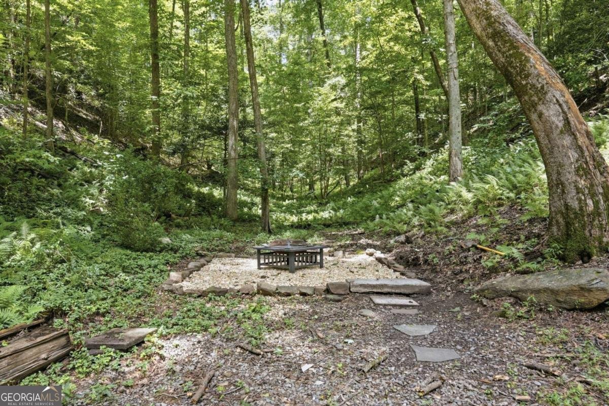 788 Joann Sisson Road Blue Ridge - Photo 10