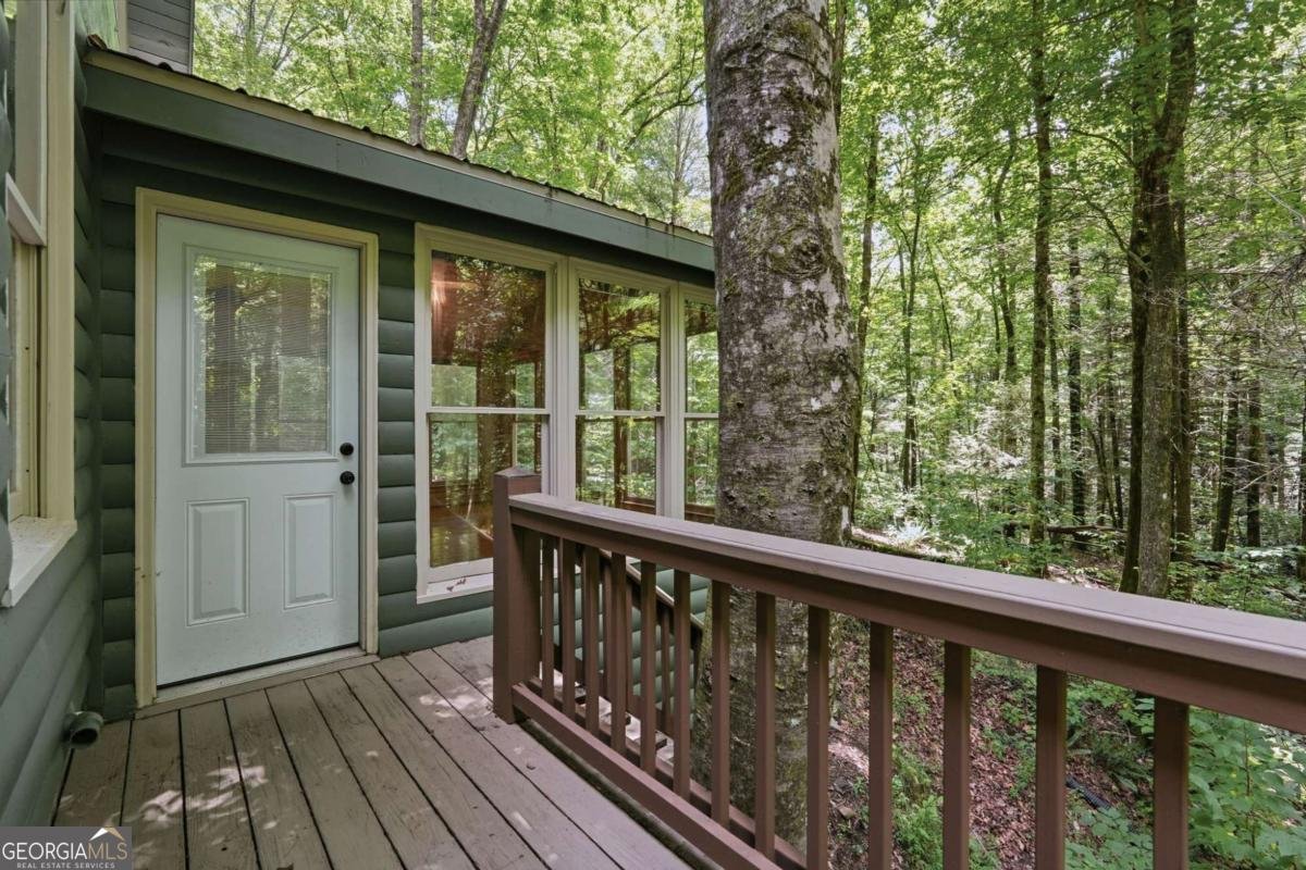 788 Joann Sisson Road Blue Ridge - Photo 50