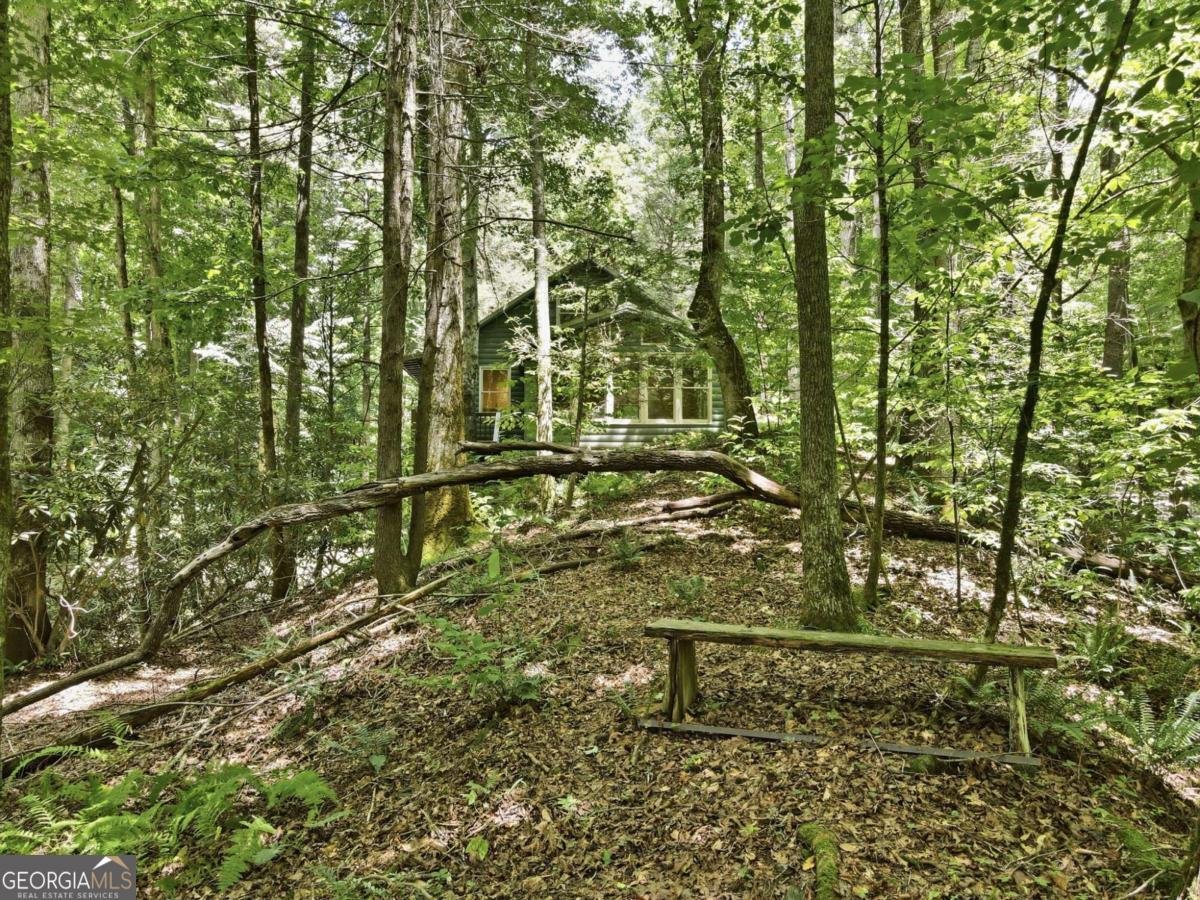 788 Joann Sisson Road Blue Ridge - Photo 56
