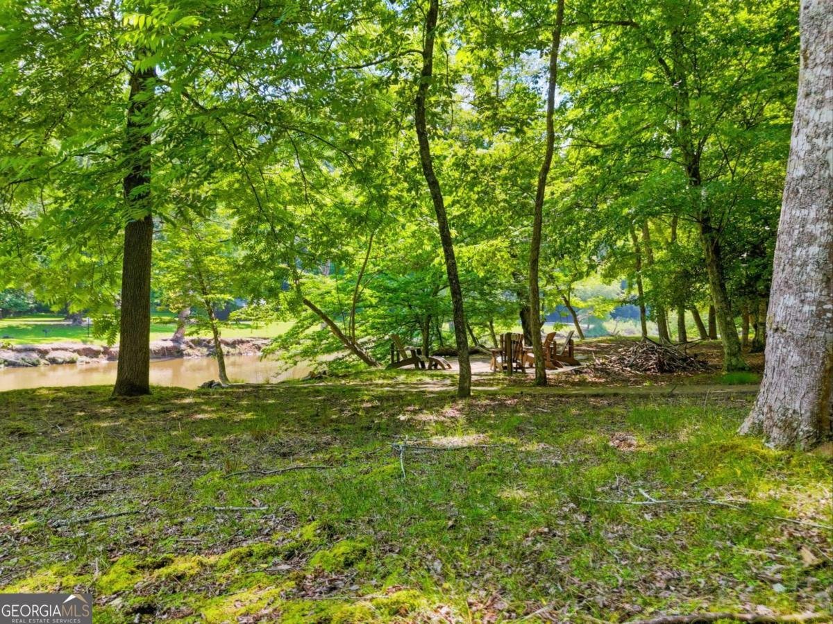 5 Muller lane Ellijay - Photo 55