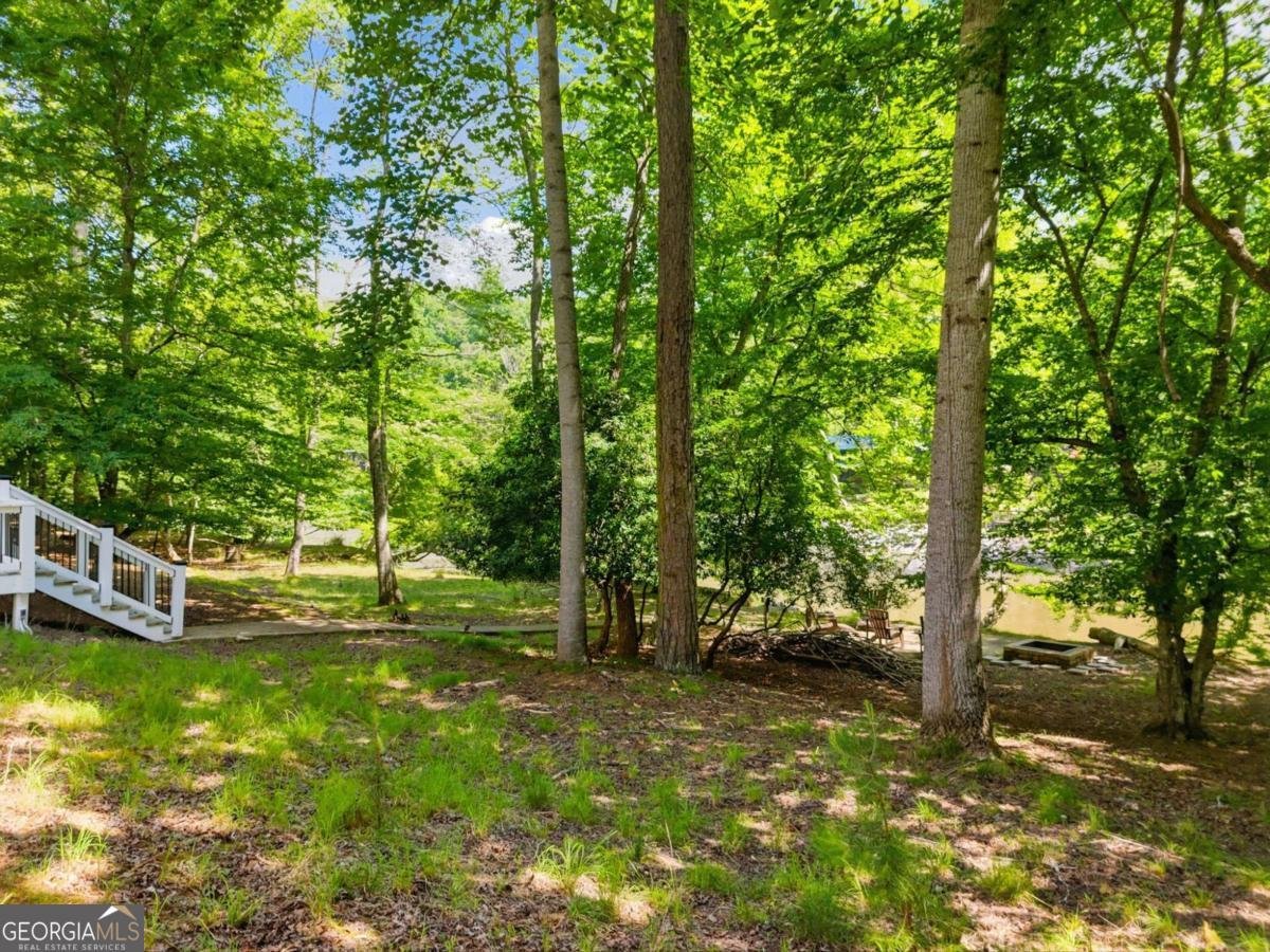 5 Muller lane Ellijay - Photo 62