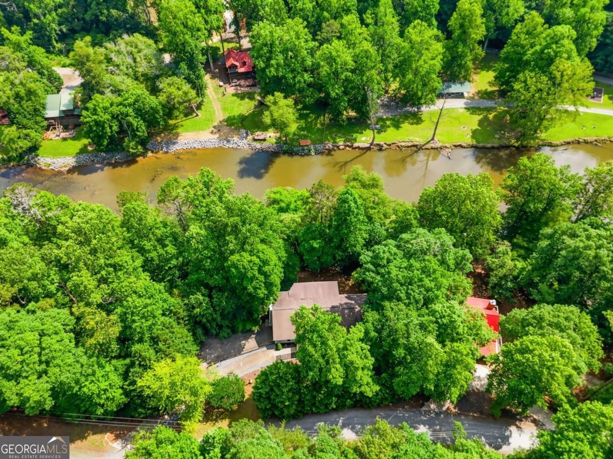 5 Muller lane Ellijay - Photo 63