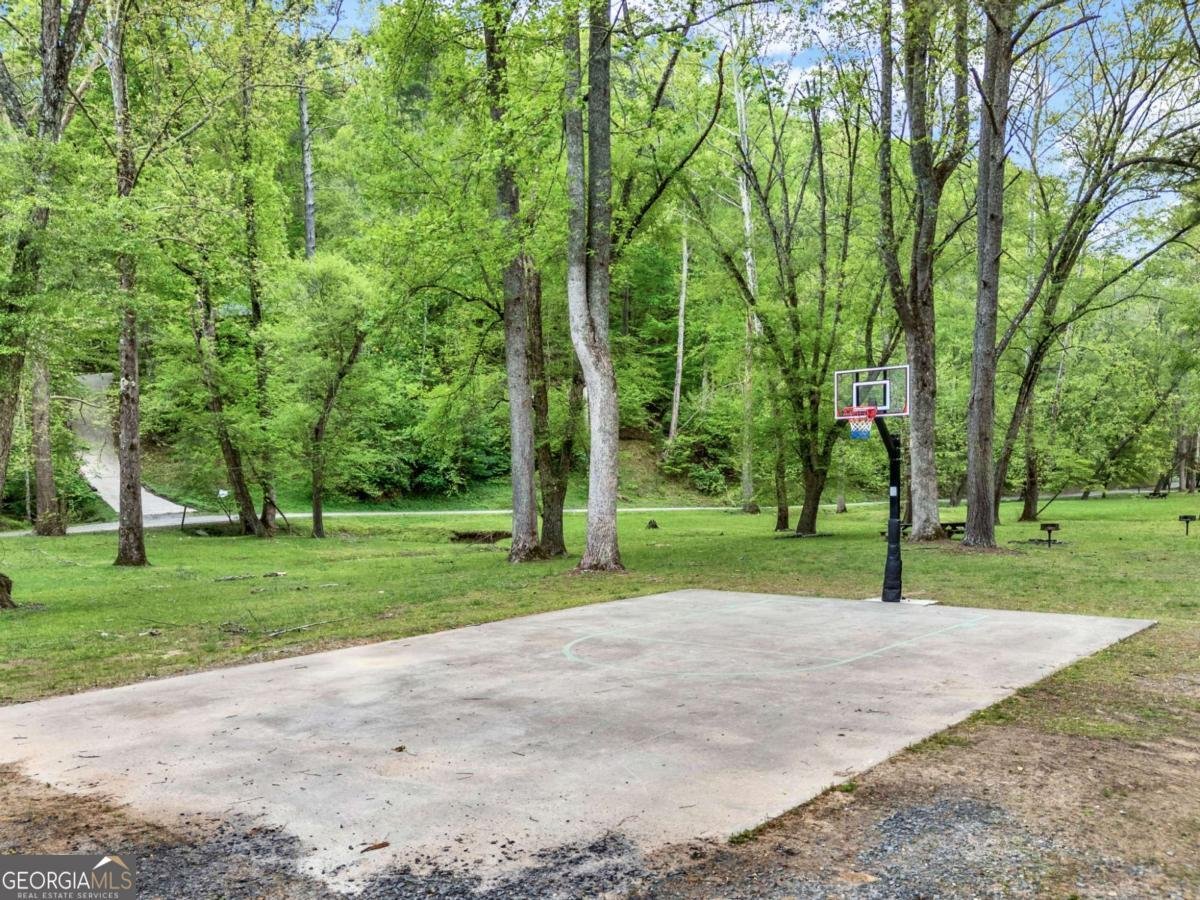 5 Muller lane Ellijay - Photo 92