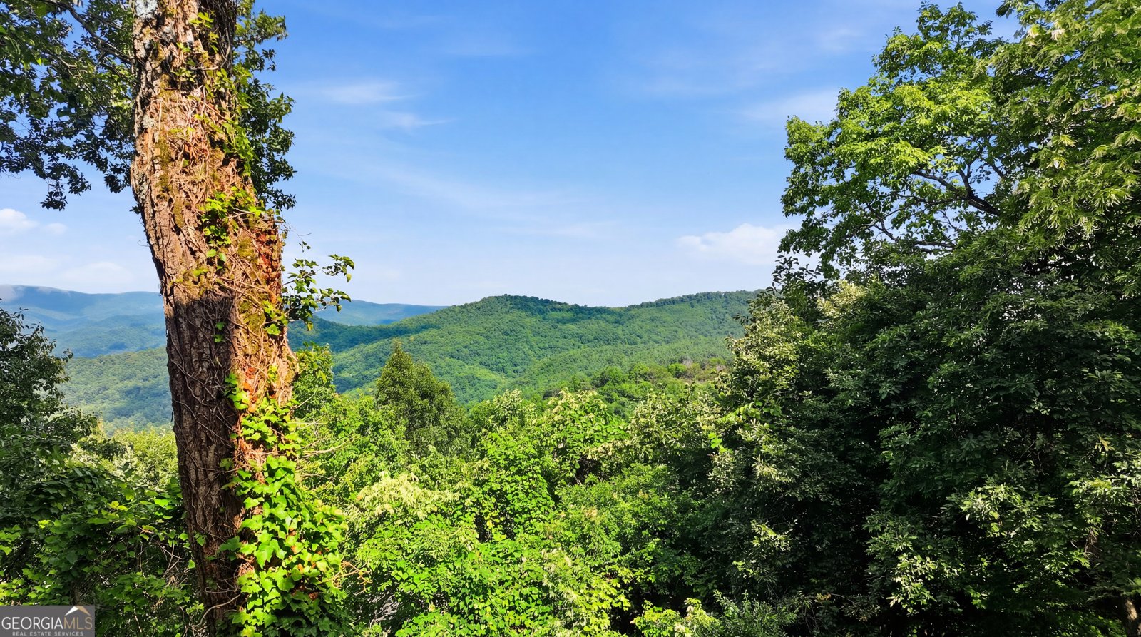 82 Appalachian Point Sky valley - Photo 38