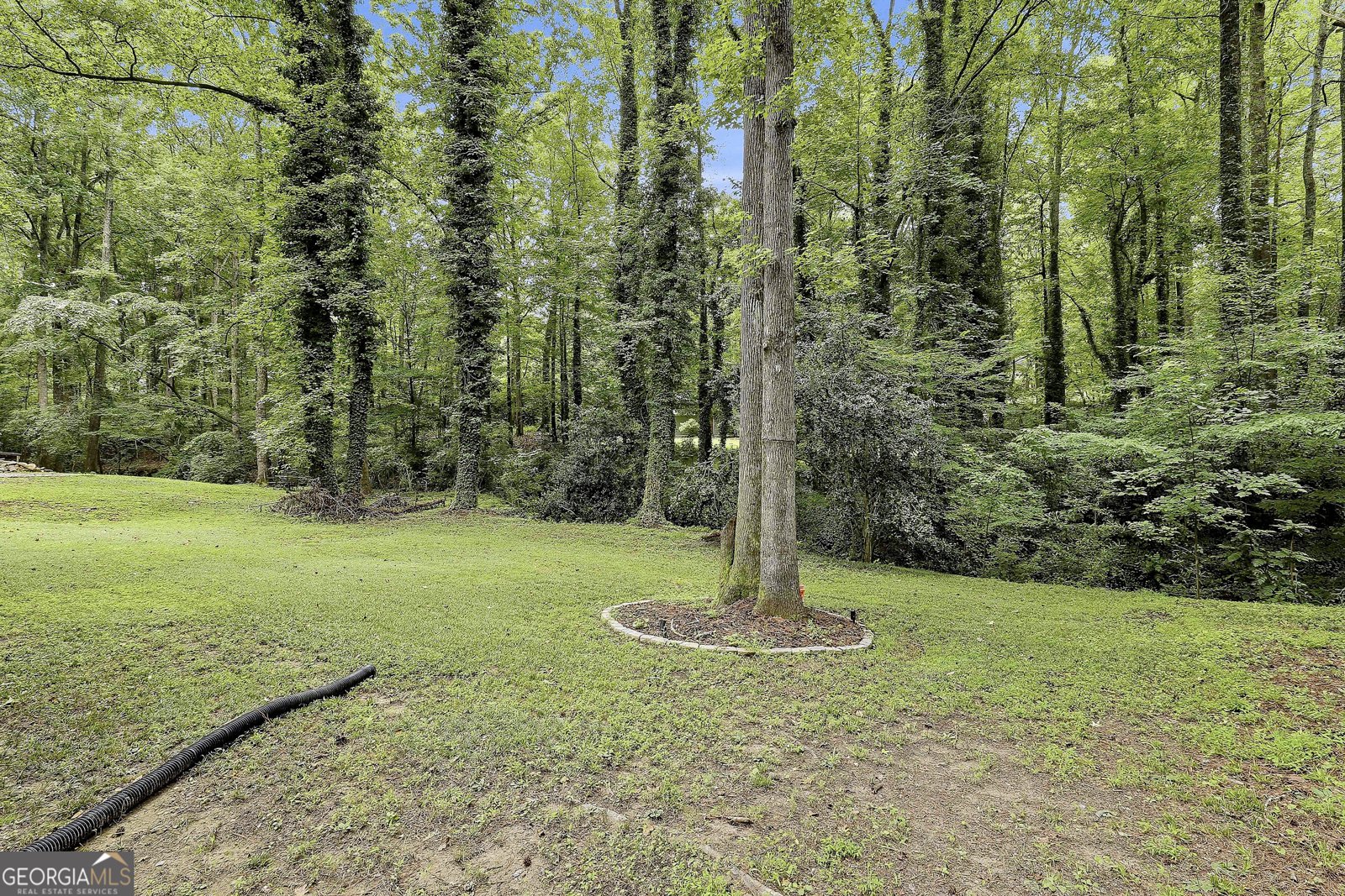 195 Oak Street Fayetteville - Photo 43