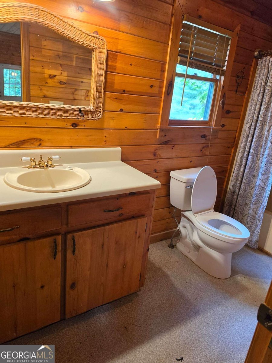 49 Deer Trail Mineral Bluff - Photo 13