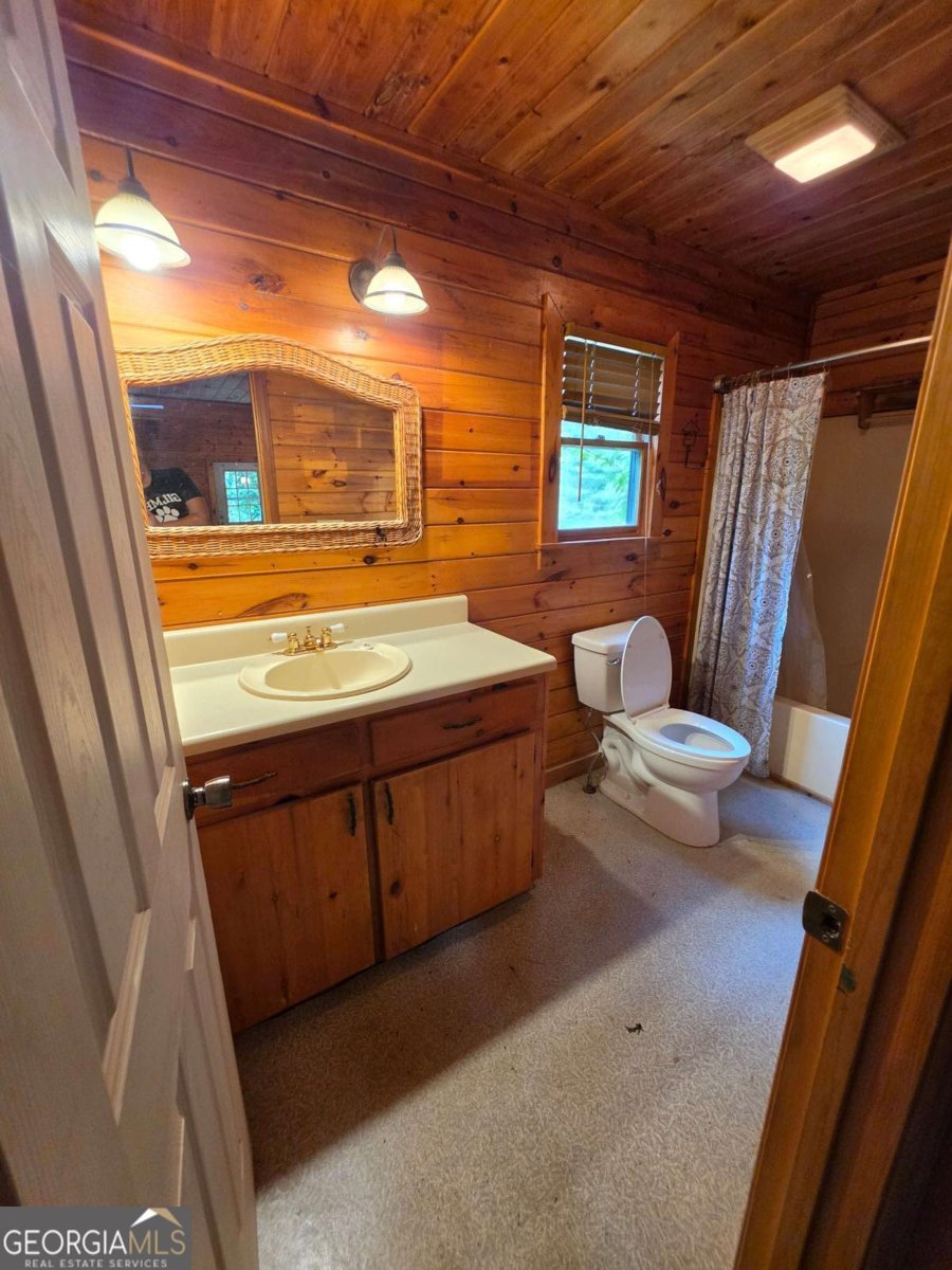 49 Deer Trail Mineral Bluff - Photo 14
