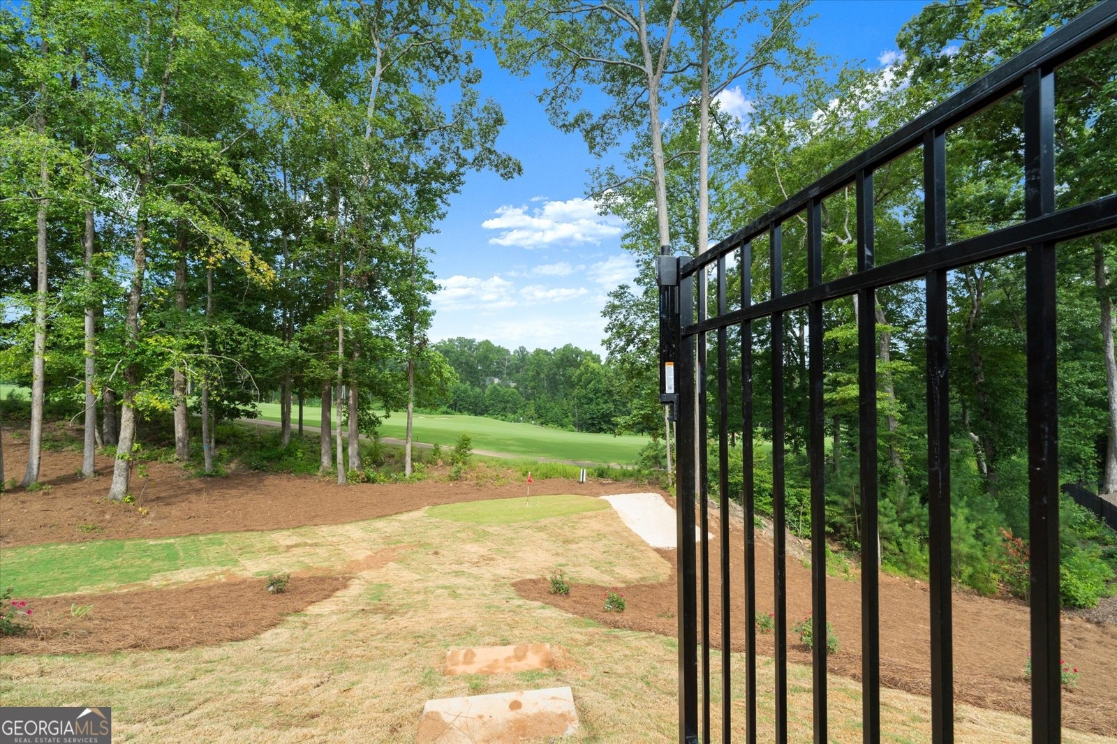 215 Traditions Drive Alpharetta - Photo 91