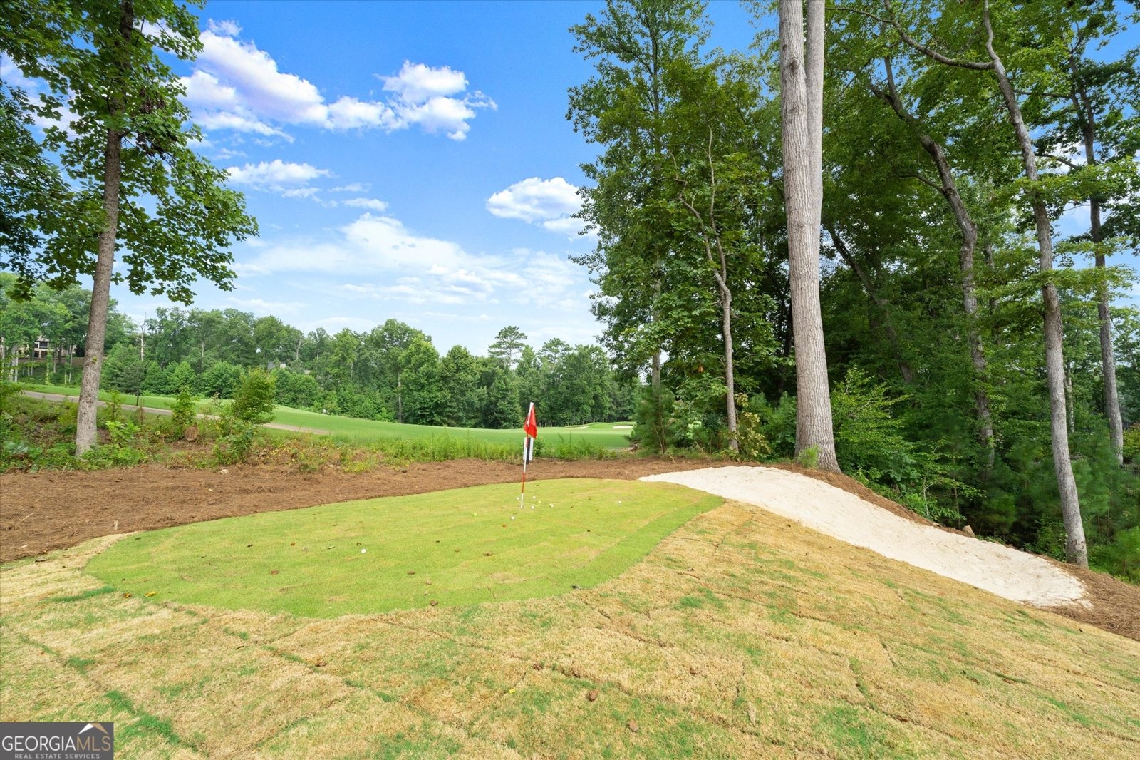 215 Traditions Drive Alpharetta - Photo 92