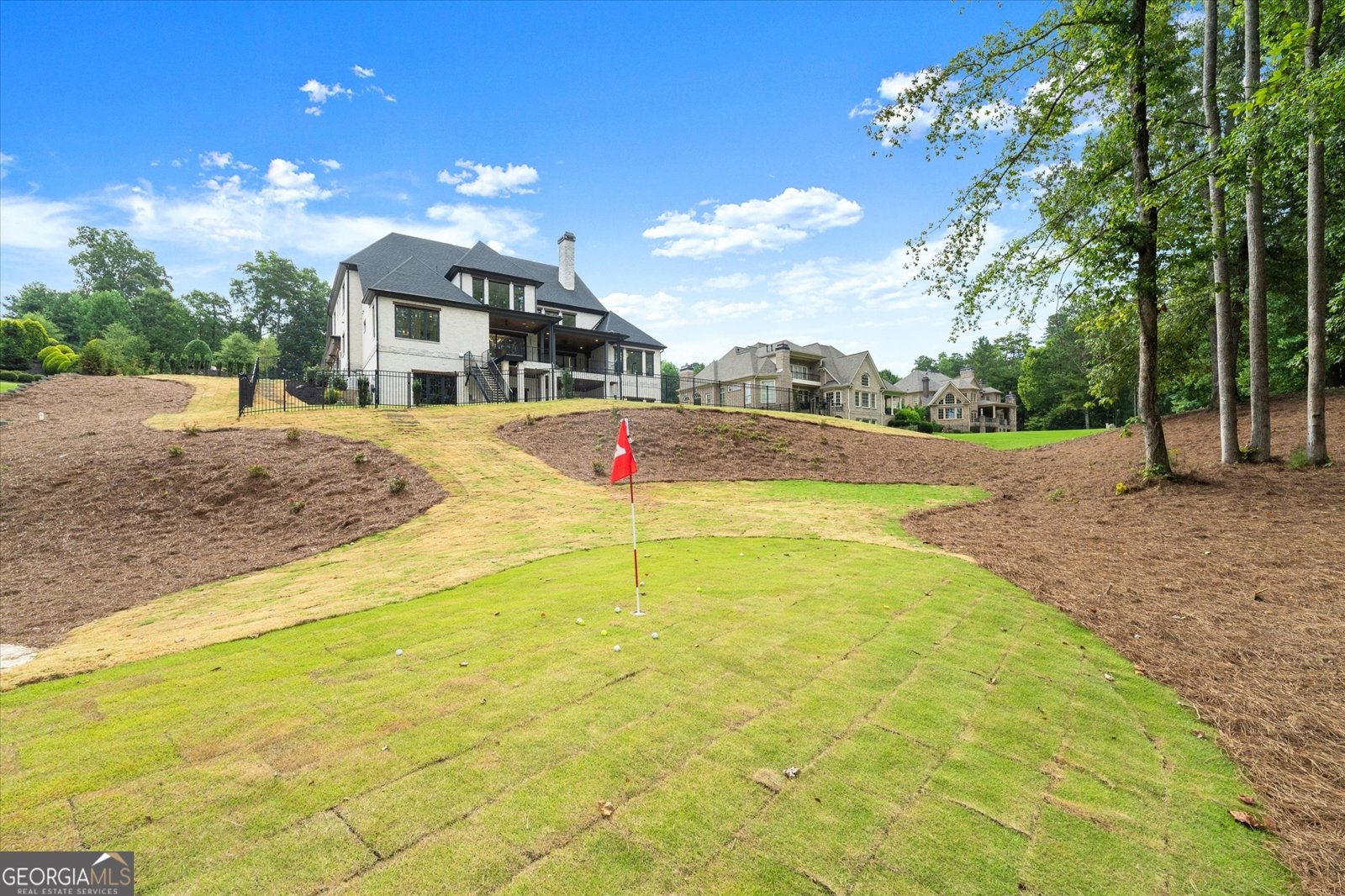 215 Traditions Drive Alpharetta - Photo 93