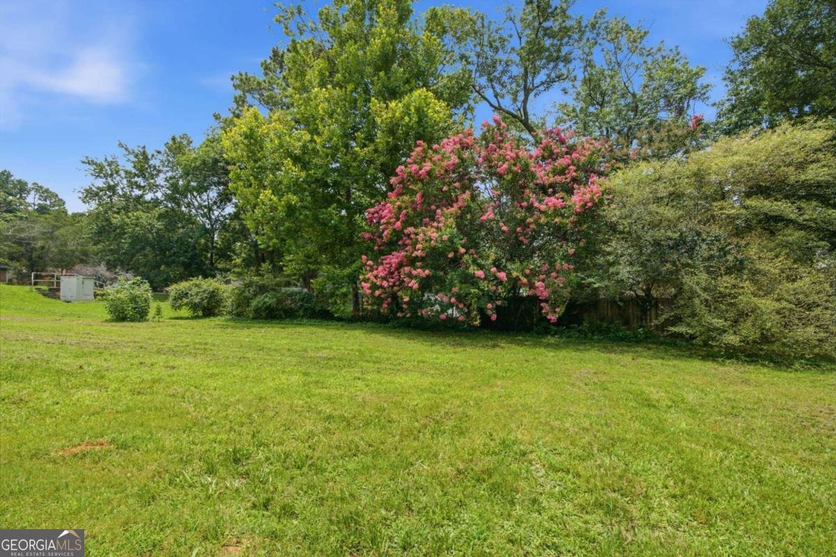 8007 Sonja Drive Jonesboro - Photo 36