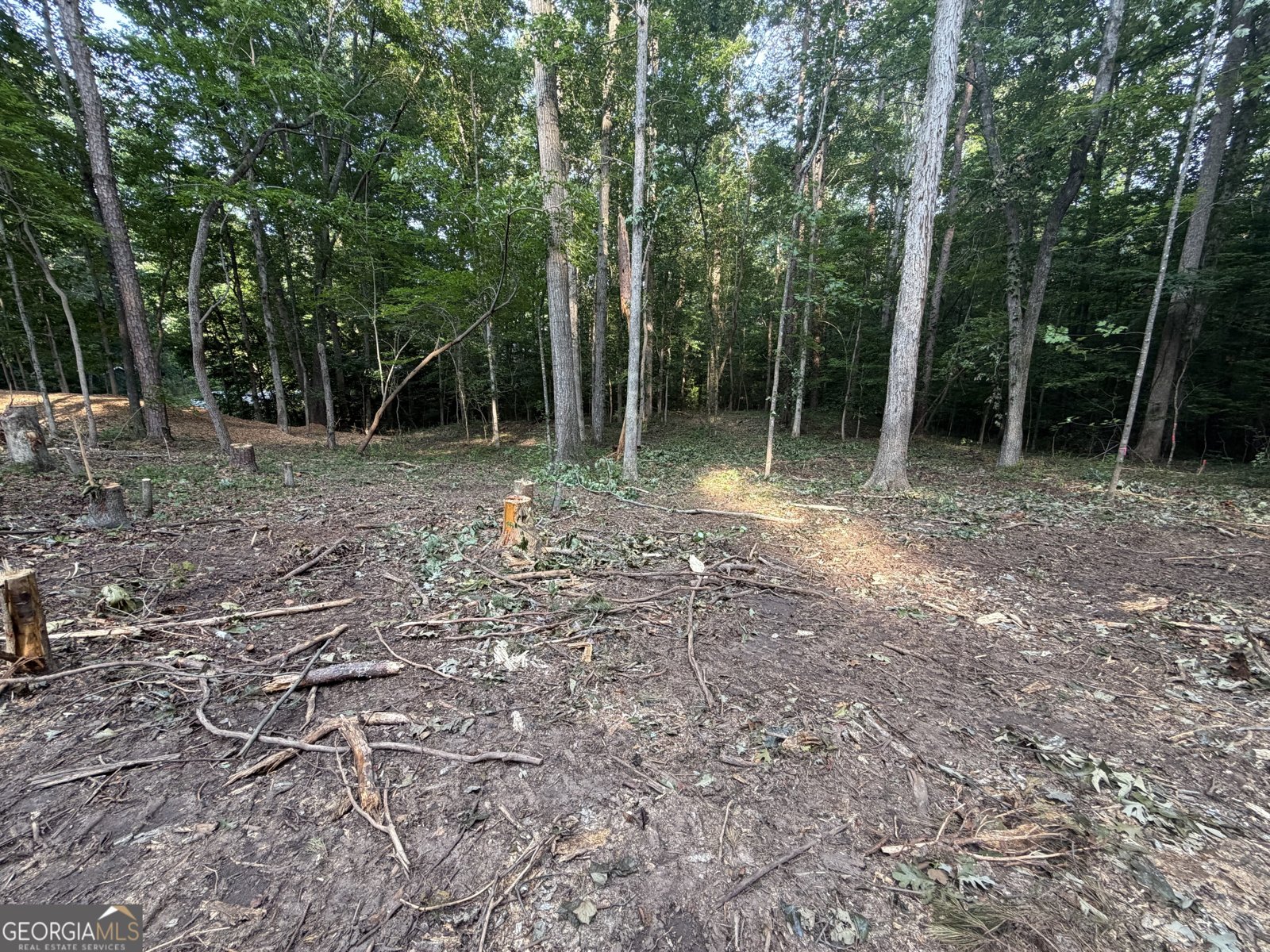 352 Lake Harbor Trail Martin - Photo 7