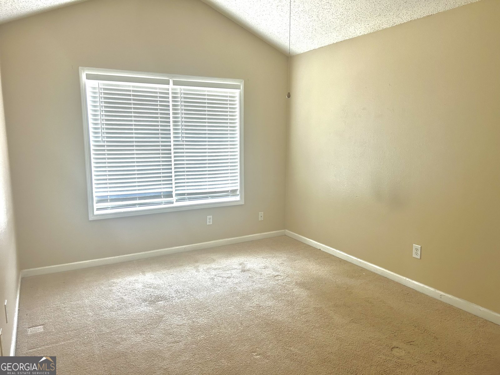 178 Madeline Court McDonough - Photo 9