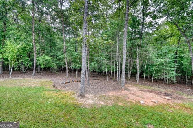 134 Camp Creek View Blairsville - Photo 40