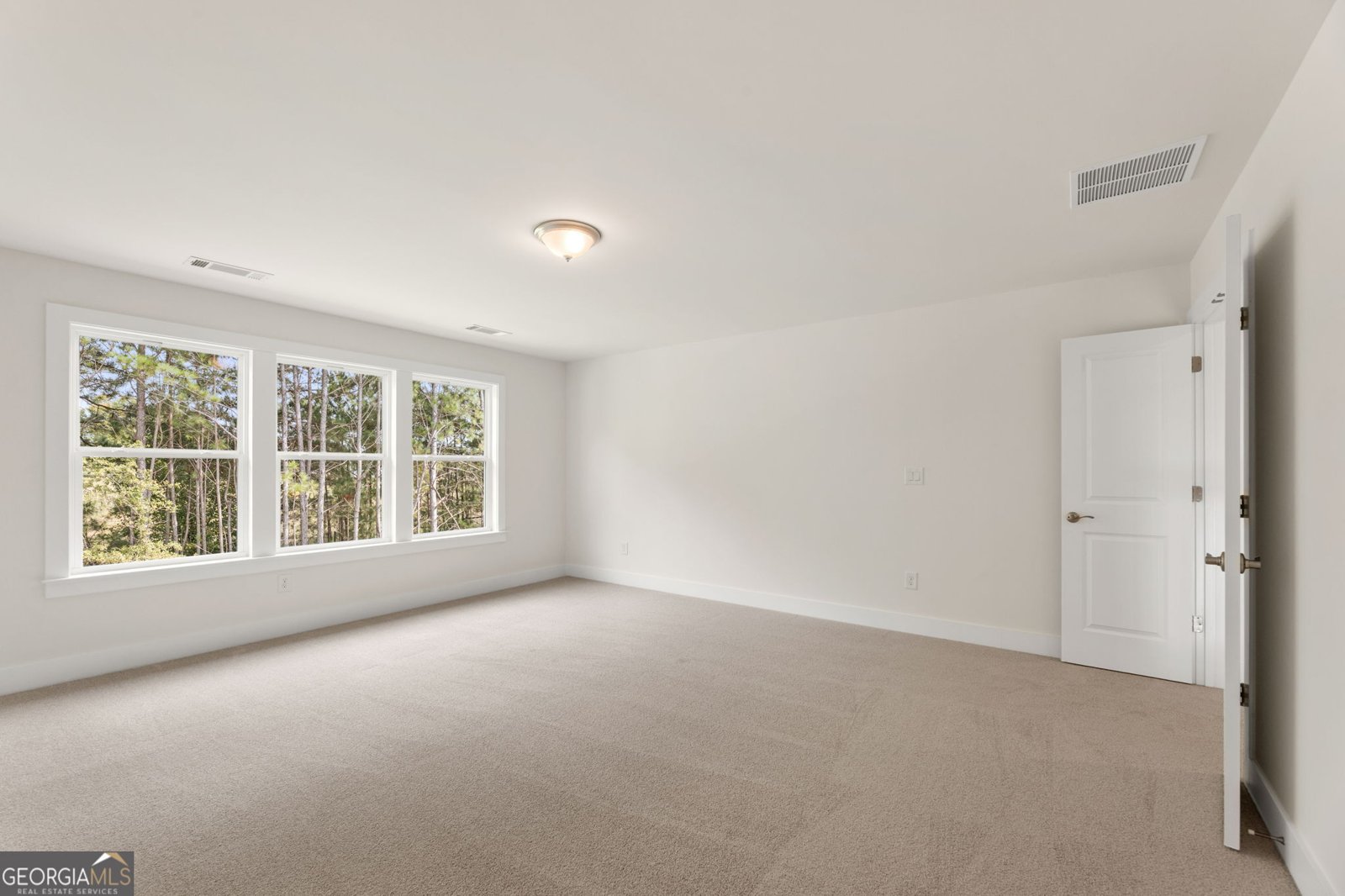 2391 Sunny Spring Lane Loganville - Photo 17