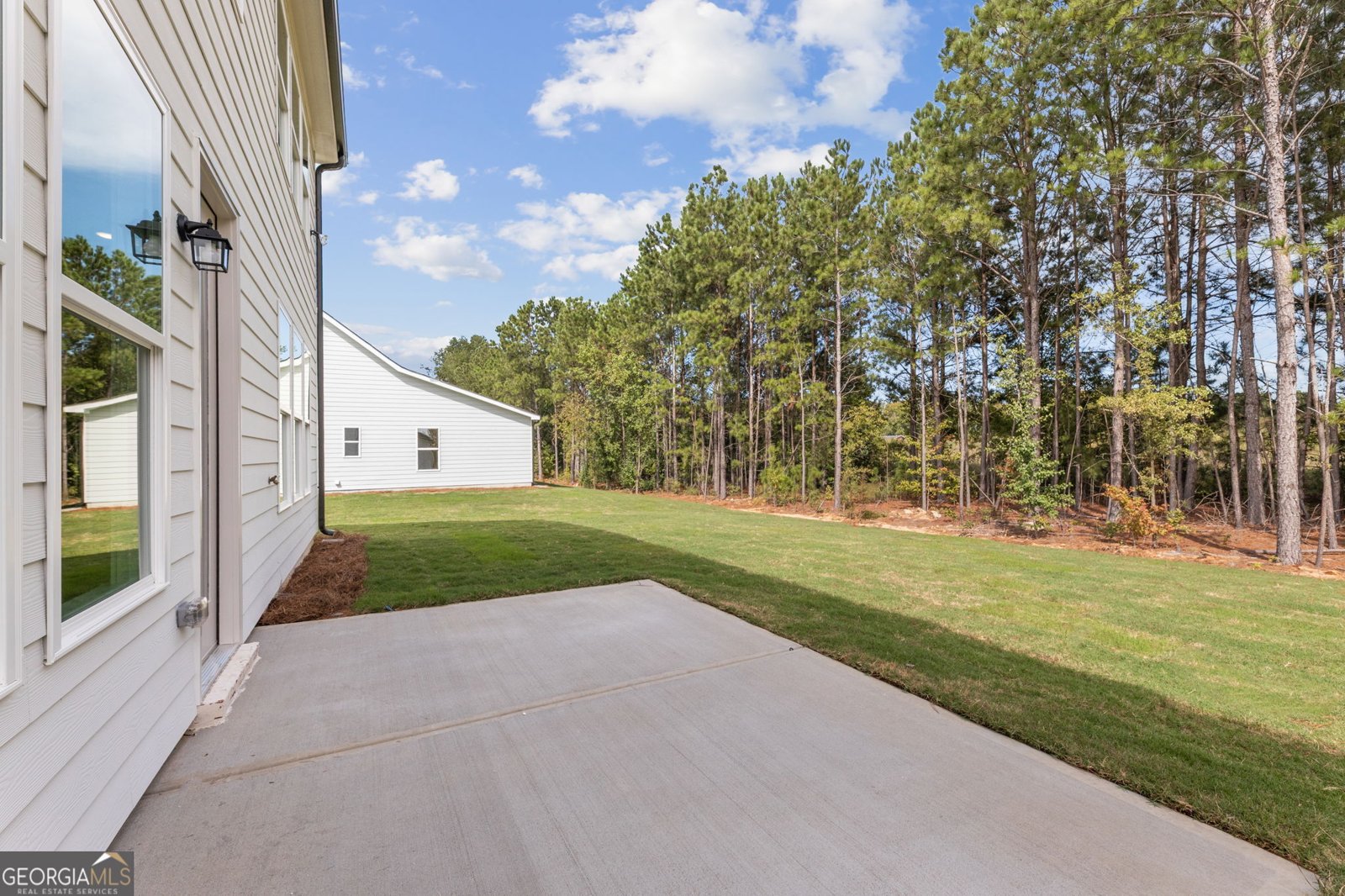 2391 Sunny Spring Lane Loganville - Photo 30