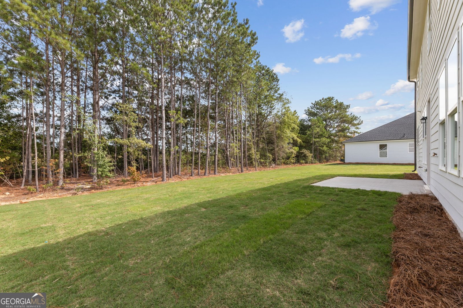 2391 Sunny Spring Lane Loganville - Photo 31