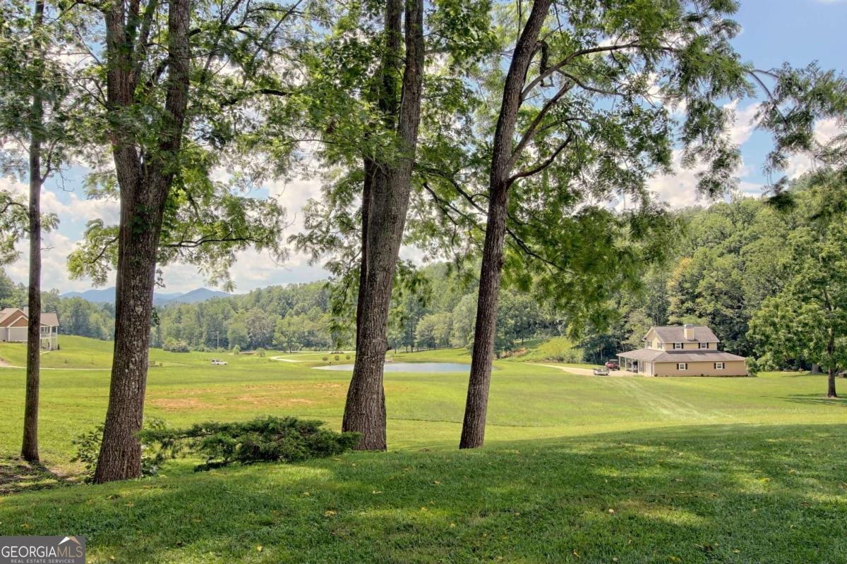 299 Old Homestead Lane Hayesville - Photo 56