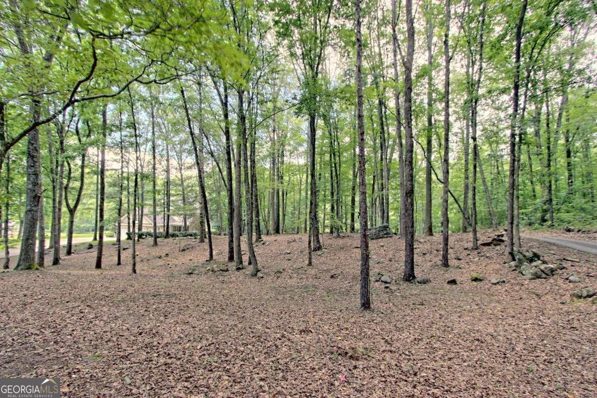 299 Old Homestead Lane Hayesville - Photo 72