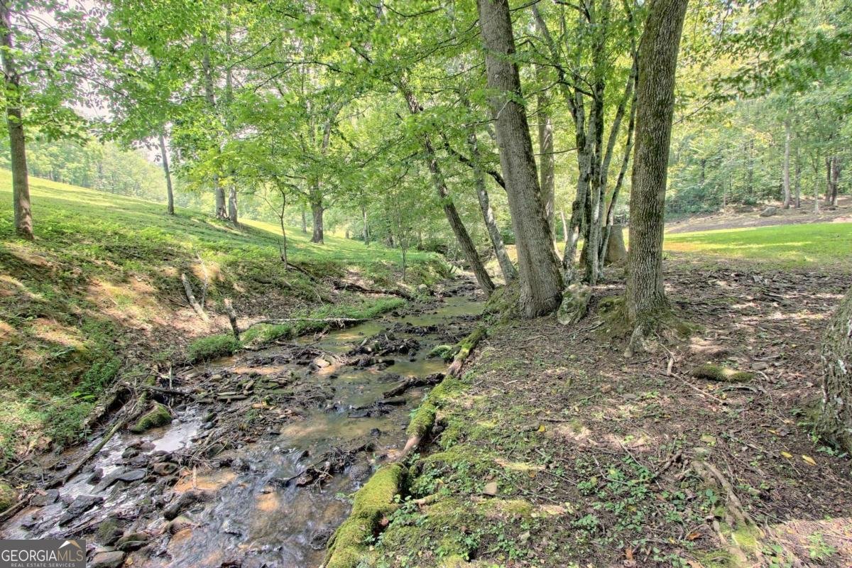 299 Old Homestead Lane Hayesville - Photo 73
