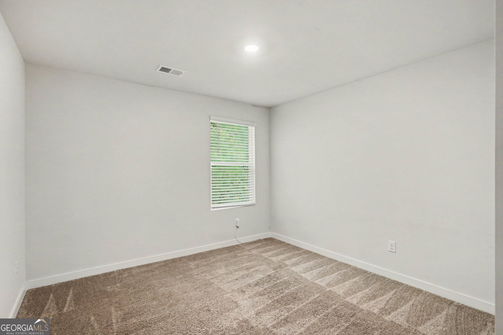 336 Wandering Brook Drive Mcdonough - Photo 21