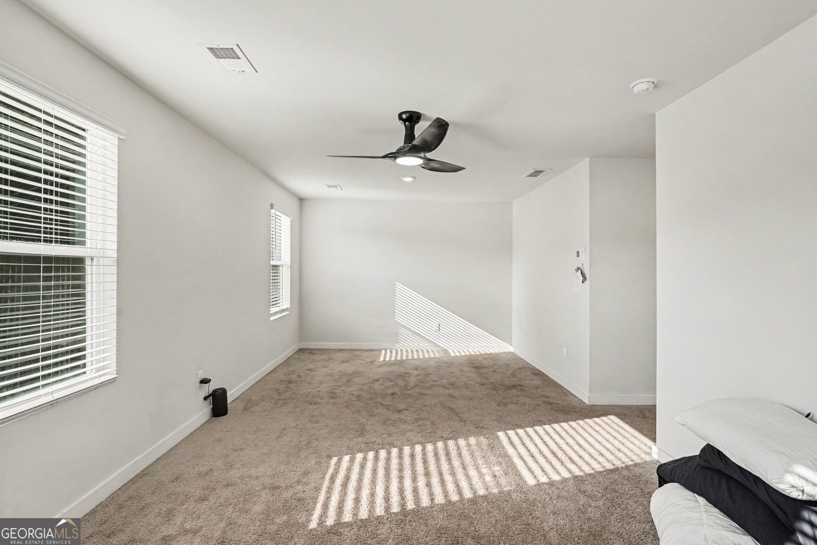 336 Wandering Brook Drive Mcdonough - Photo 24
