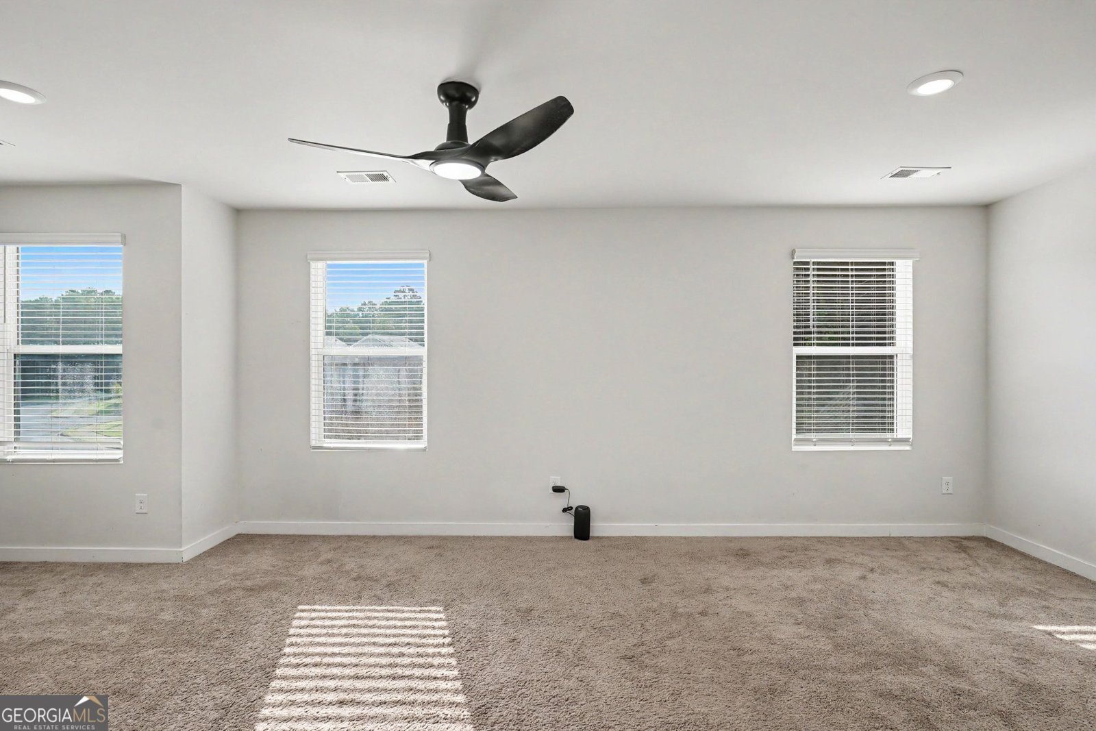 336 Wandering Brook Drive Mcdonough - Photo 25