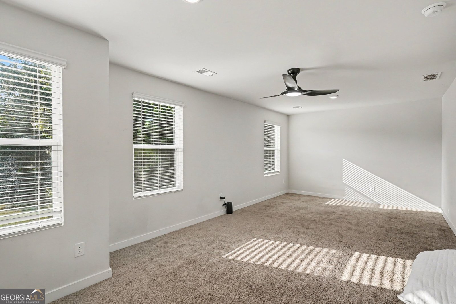 336 Wandering Brook Drive Mcdonough - Photo 26
