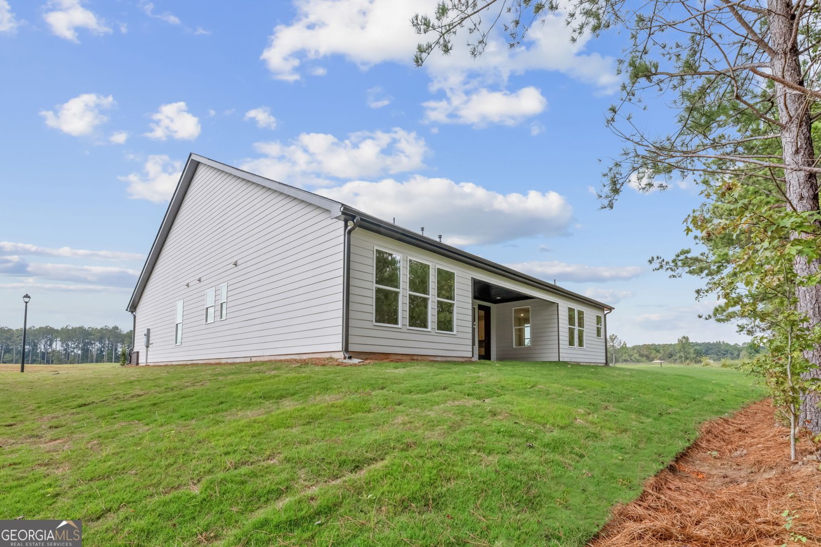 2411 Sunny Spring Lane Loganville - Photo 28