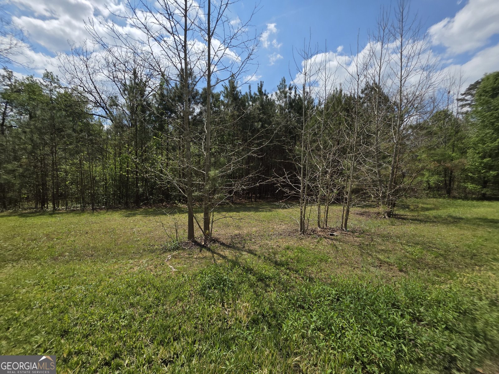 3421 Rainbow Drive Decatur - Photo 15