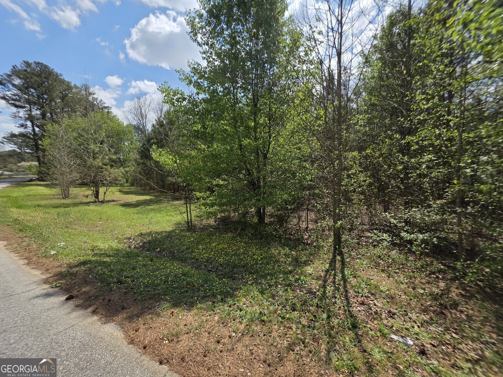 3421 Rainbow Drive Decatur - Photo 17