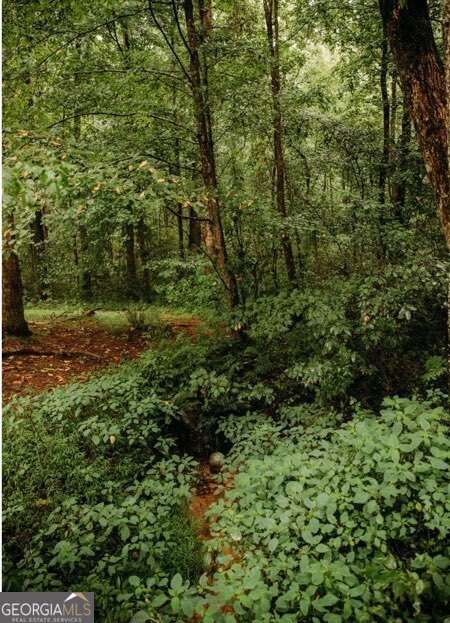 200 Old Woodring Road Ellijay - Photo 13