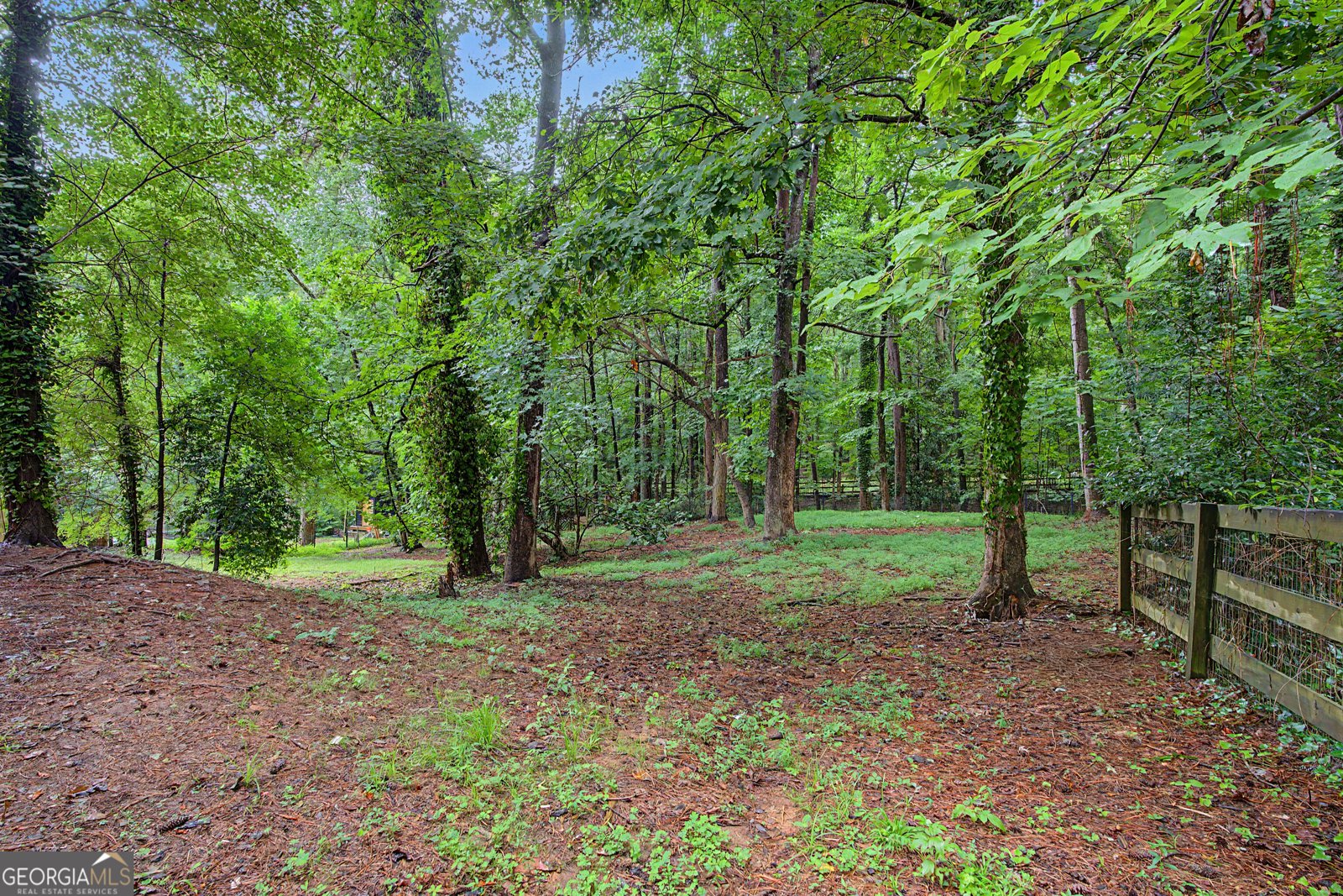 10780 Shagbark Trail Roswell - Photo 31