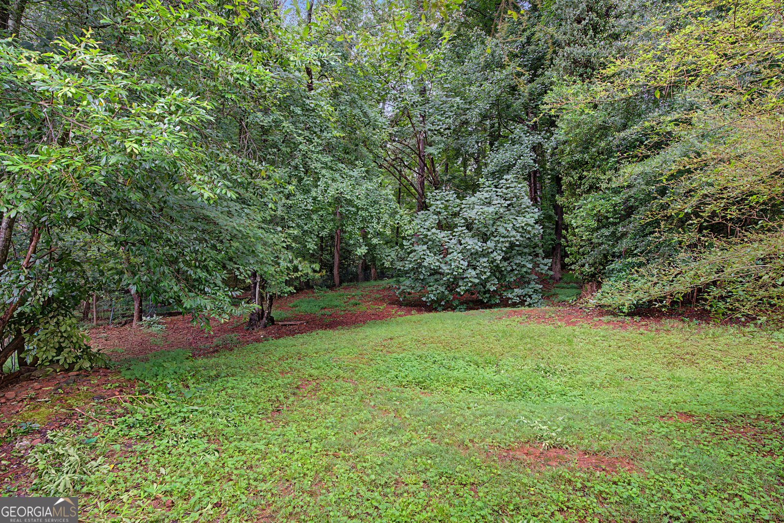 10780 Shagbark Trail Roswell - Photo 36