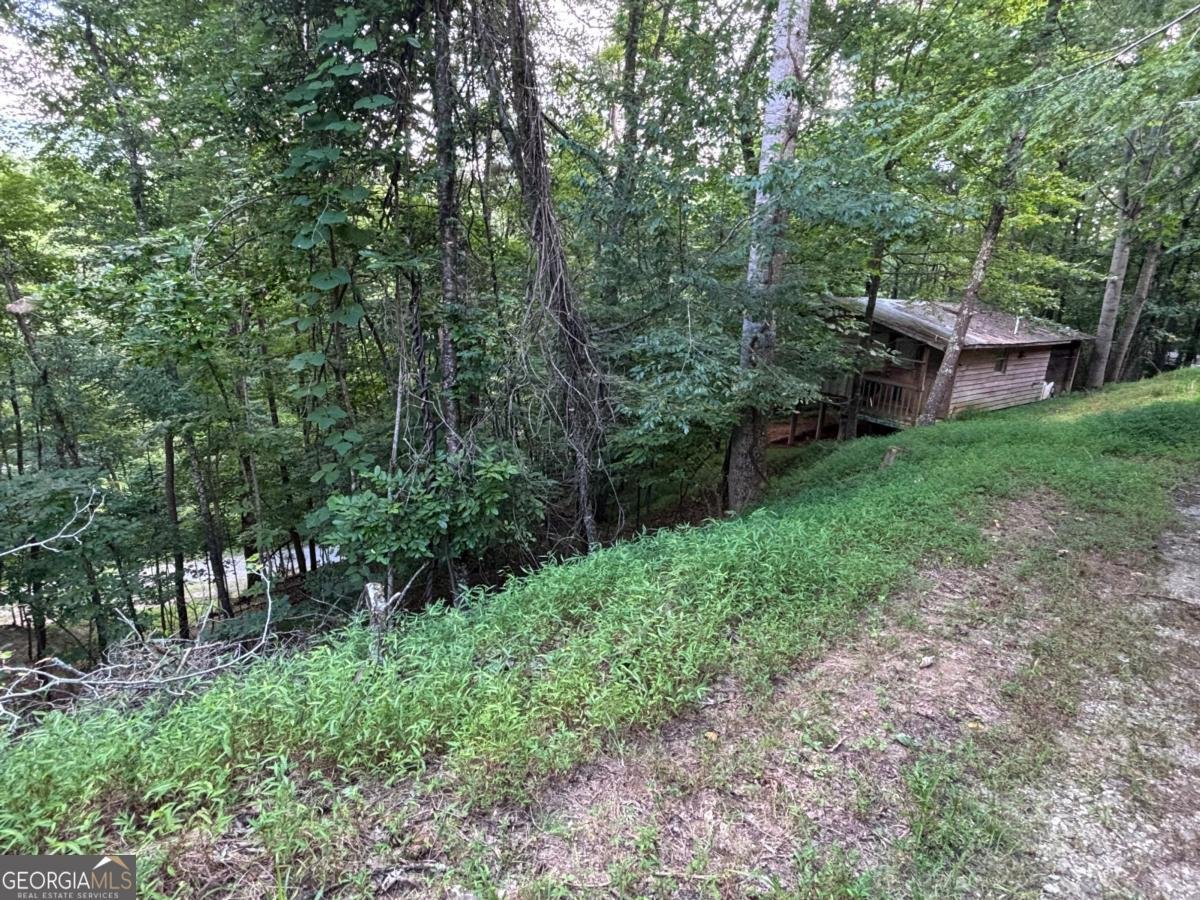 1163 Tipton Springs Road Morganton - main photo