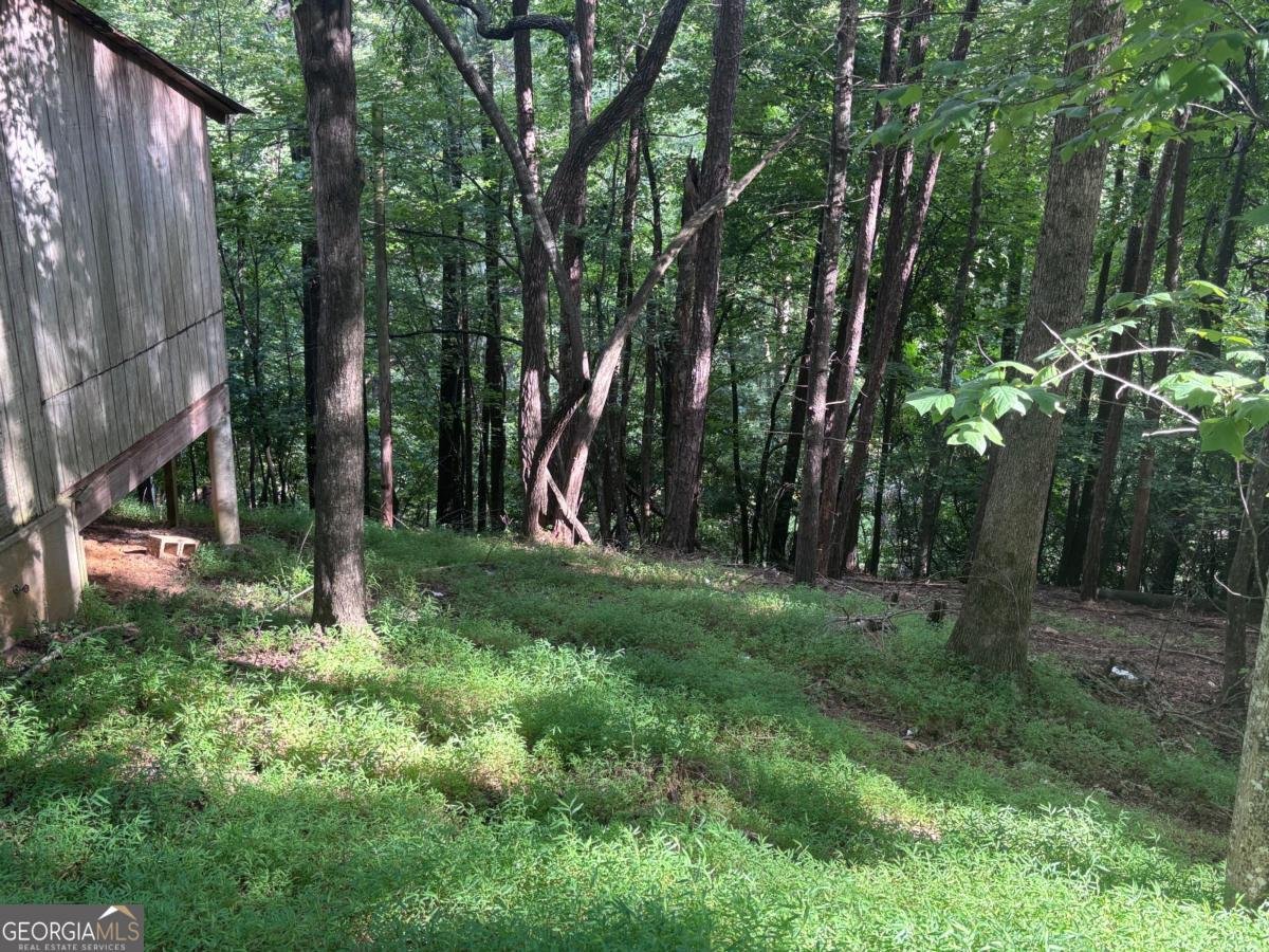 1163 Tipton Springs Road Morganton - Photo 10