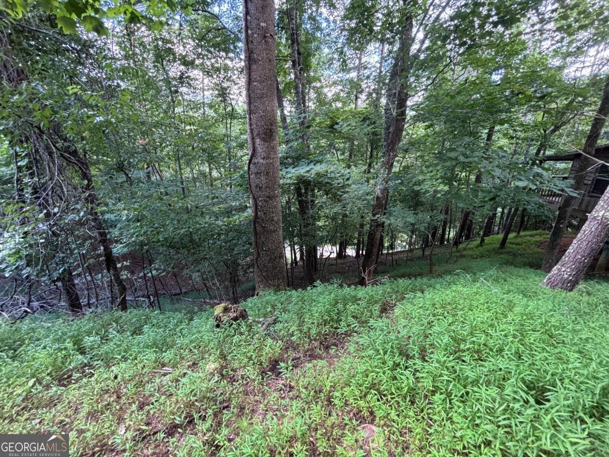 1163 Tipton Springs Road Morganton - Photo 13