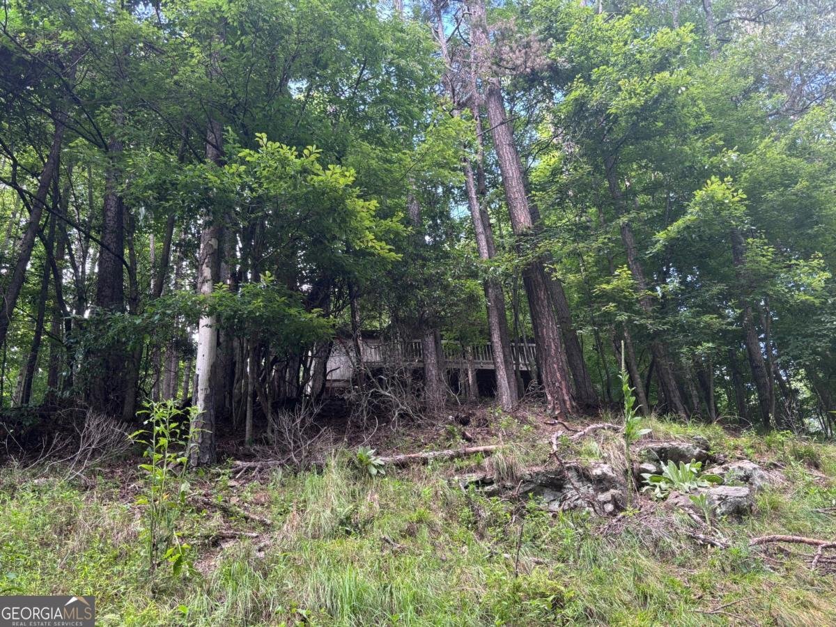 1163 Tipton Springs Road Morganton - Photo 14