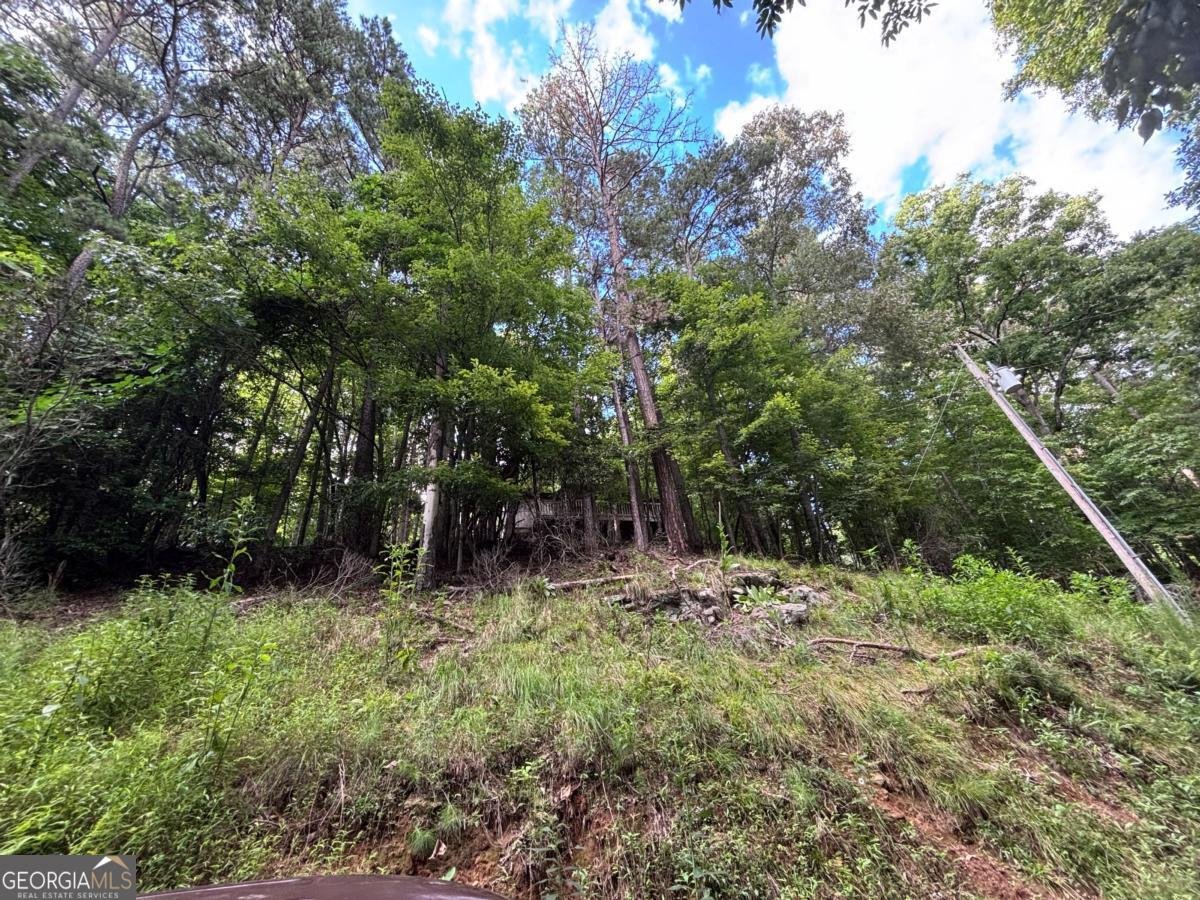 1163 Tipton Springs Road Morganton - Photo 15