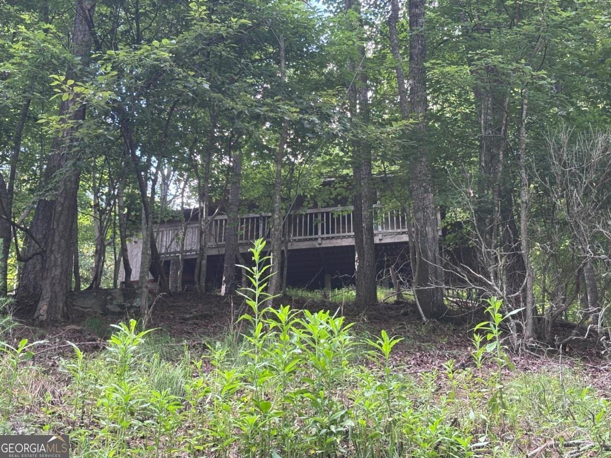 1163 Tipton Springs Road Morganton - Photo 16