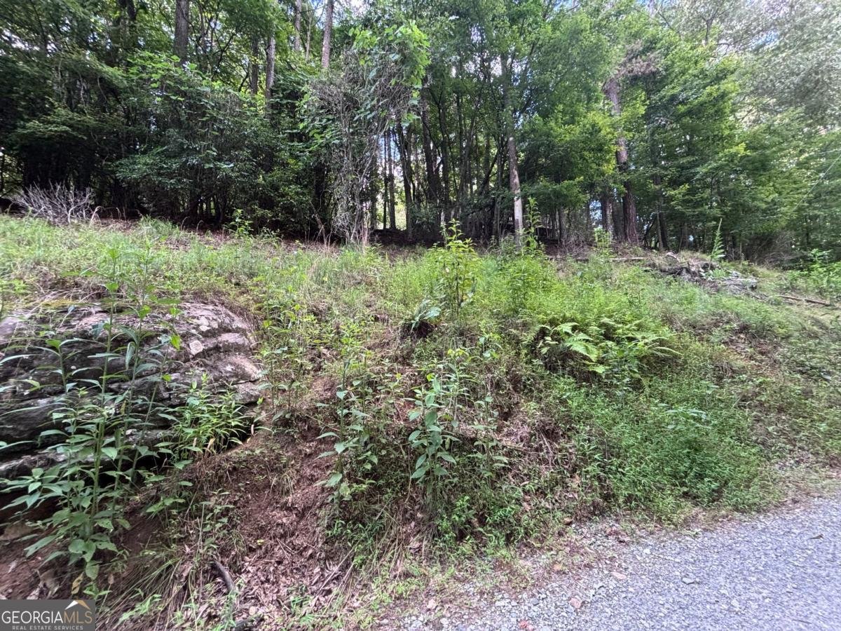 1163 Tipton Springs Road Morganton - Photo 17