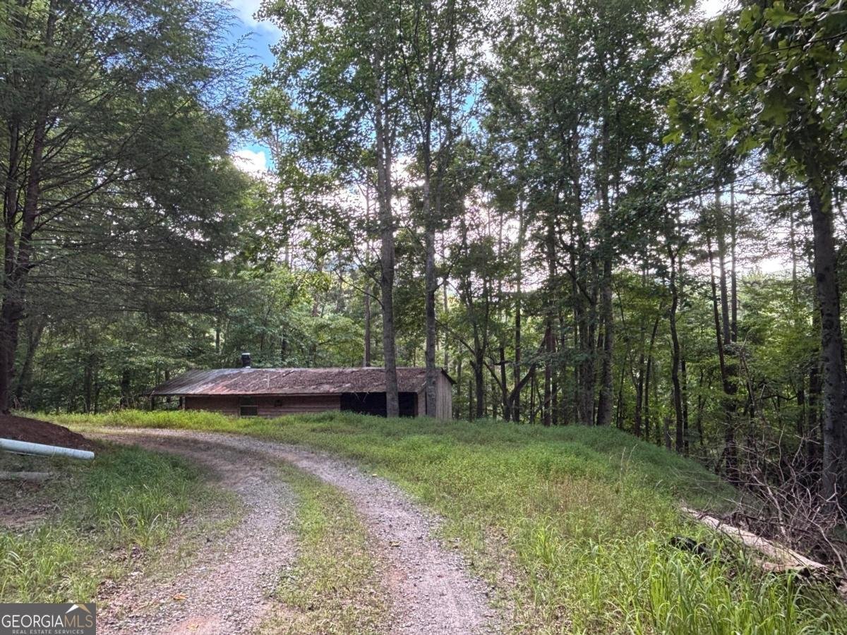 1163 Tipton Springs Road Morganton - Photo 6