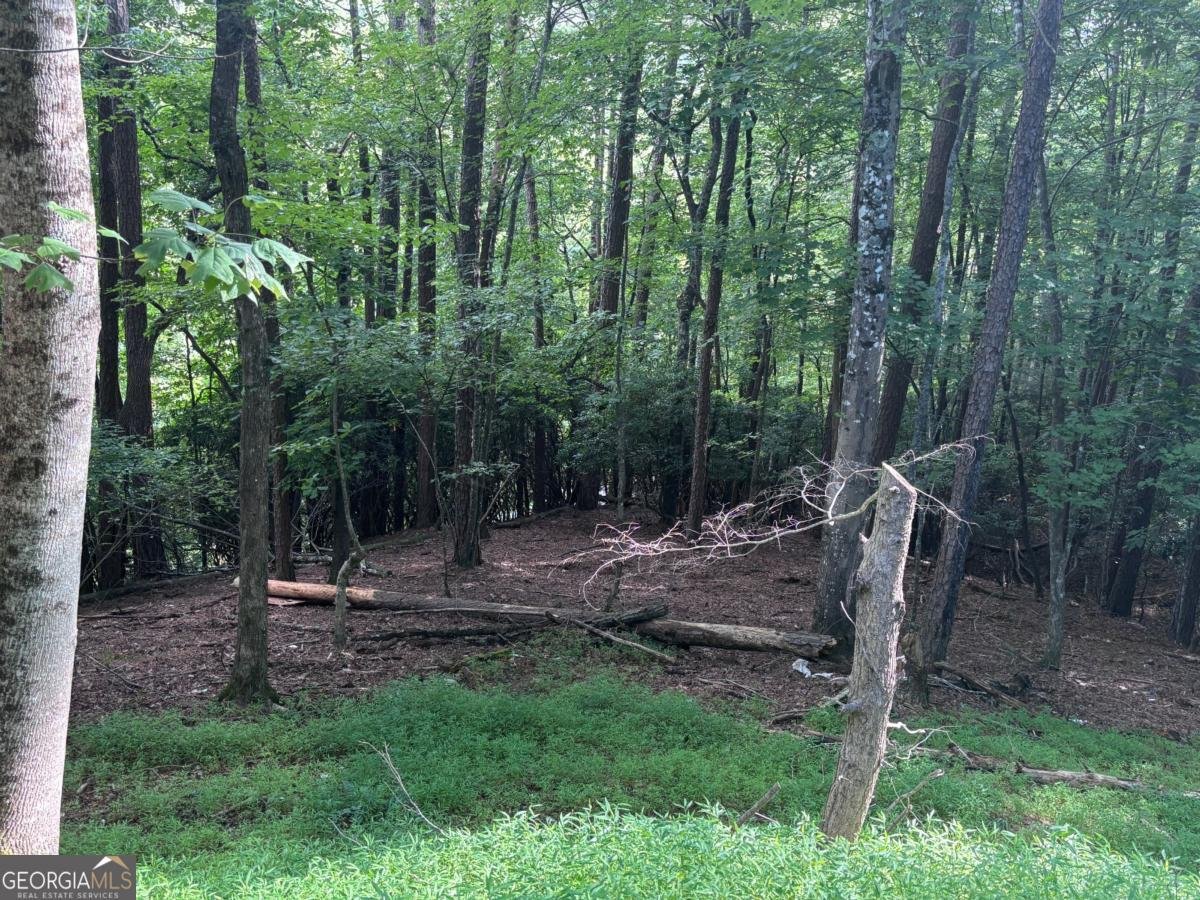 1163 Tipton Springs Road Morganton - Photo 8