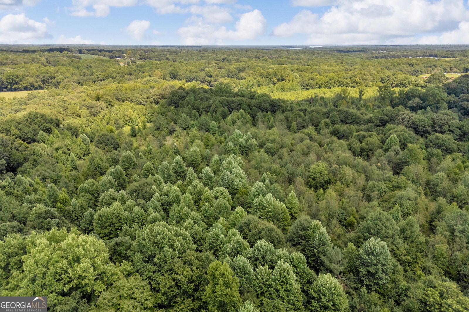 3894 Bowersville Highway Bowersville - Photo 37